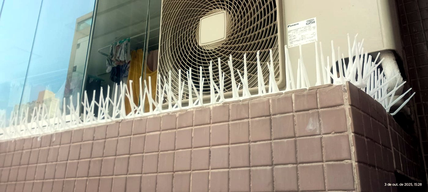 Instalação de espículas