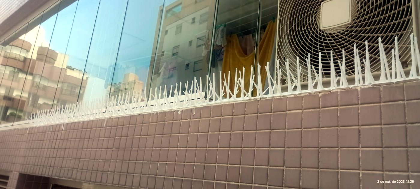Instalação de espículas